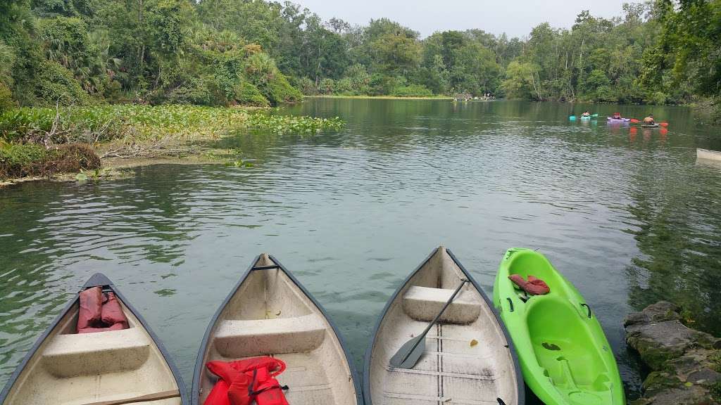 Wekiwa Springs State Park | 1800 Wekiwa Cir, Apopka, FL 32712, USA | Phone: (407) 553-4383