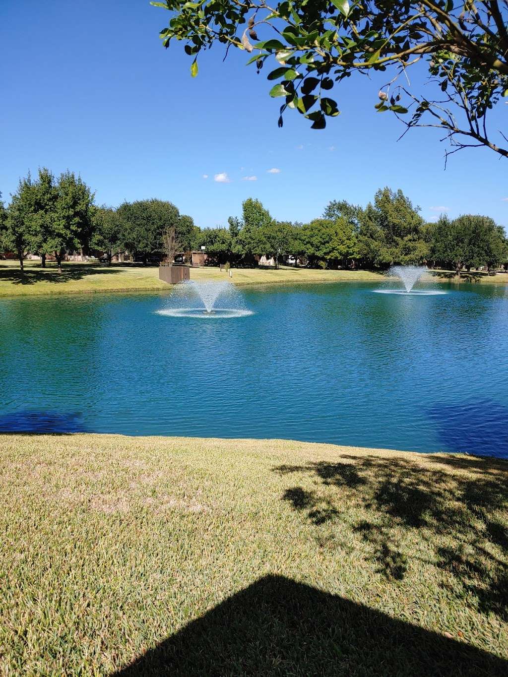 Blue Skies of Texas | 5100 John D Ryan Blvd, San Antonio, TX 78245, USA | Phone: (210) 677-8666