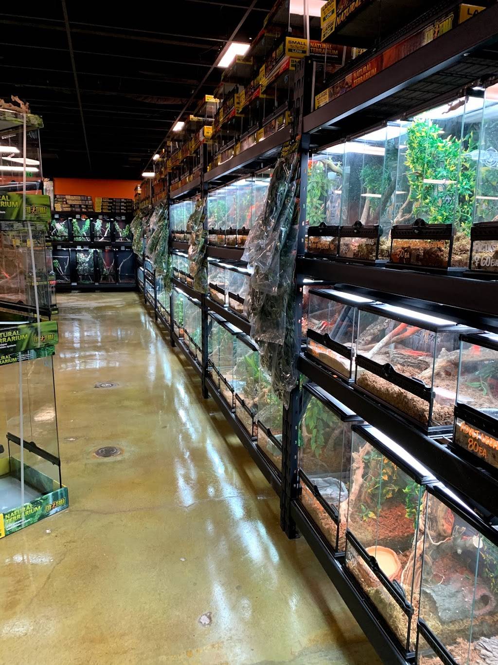 5280 Reptile Room - North | 11944 Washington St, Northglenn, CO 80233, USA | Phone: (720) 328-5074