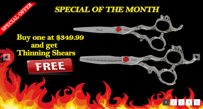 Kashi Shears Company | 11609 S Orange Blossom Trail #206, Orlando, FL 32837 | Phone: (407) 429-5514