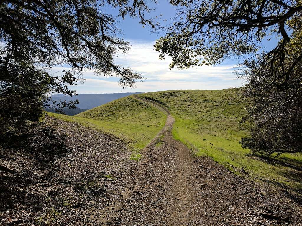 Long Ridge Open Space Preserve | La Honda, CA 94020, USA | Phone: (650) 691-1200