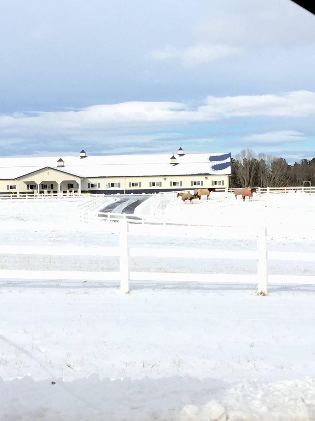 Shining Hope Farms | 6347 St Peters Church Rd, Conover, NC 28613, USA | Phone: (704) 827-3788