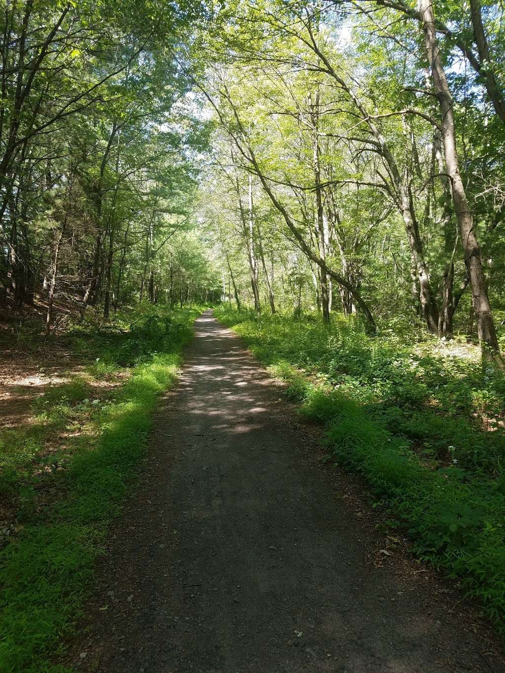 Franklin State Forest | 80 Forge Hill Rd, Franklin, MA 02038