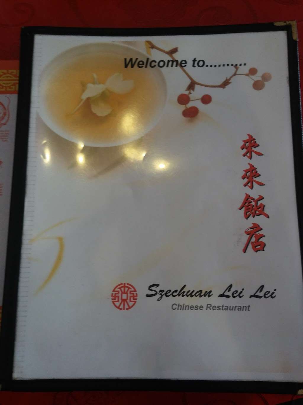Szechuan Lei Lei | 1305 West Chester Pike, Havertown, PA 19083, USA | Phone: (610) 789-6828