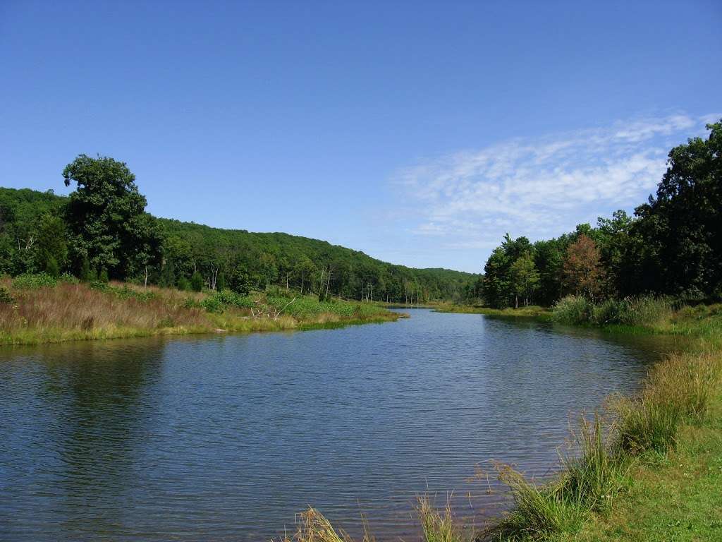 Walpack Fish and Wildlife Management Area | Layton, NJ 07851