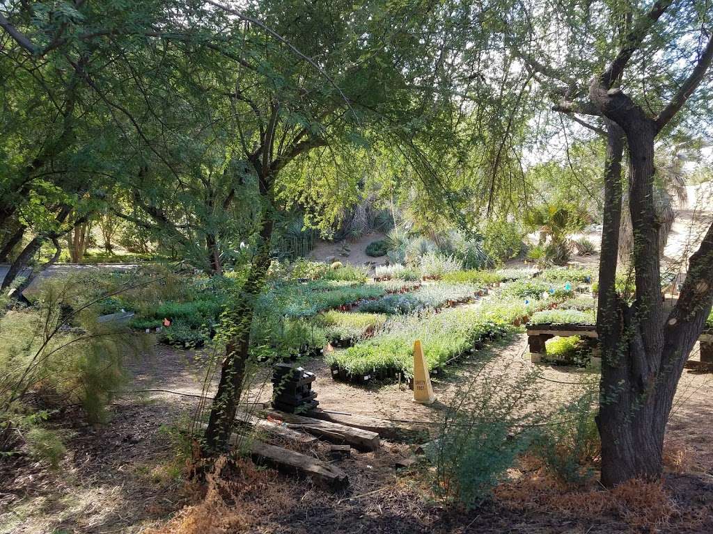 UC Riverside Botanic Gardens | 1 Botanic Gardens Drive, Riverside, CA 92507, USA | Phone: (951) 784-6962