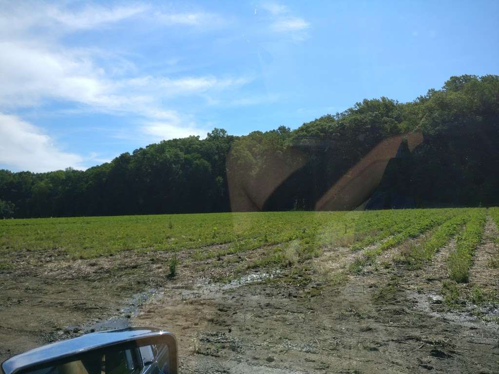 Farm strawberries pickup | 519 US-206, Newton, NJ 07860, USA