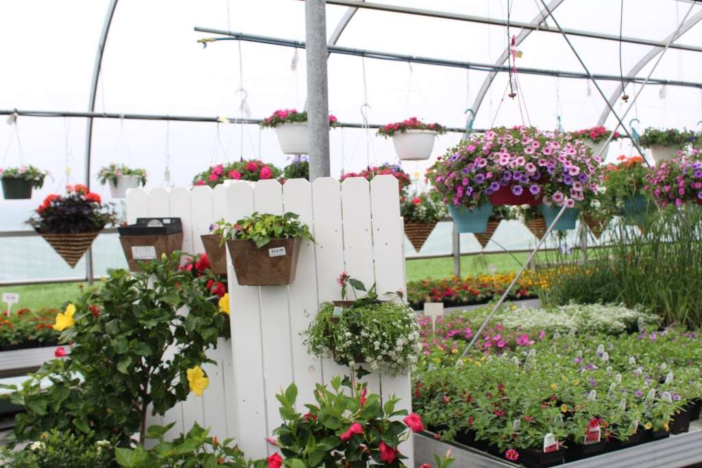 Wengers Greenhouse | 150 Wissler Rd, Lititz, PA 17543, USA | Phone: (717) 733-8658