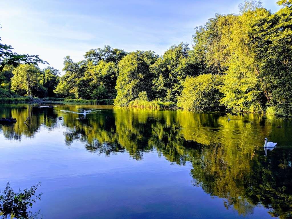 Digswell Lake Nature Reserve | Digswell Park Rd, Welwyn, Welwyn Garden City AL8 7NW, UK | Phone: 0845 003 5253