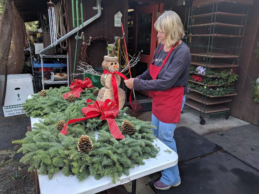 Patchen Rancho Christmas Tree Farm | 17430 Old Summit Rd, Los Gatos, CA 95033, USA | Phone: (408) 353-5696