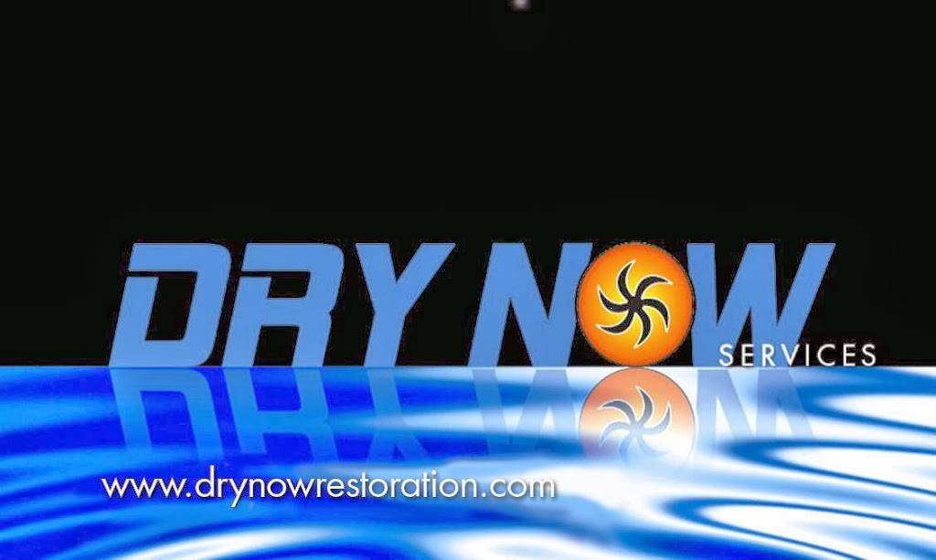 Dry Now Services | 2733 N Power Rd #102, Mesa, AZ 85215 | Phone: (602) 280-9000