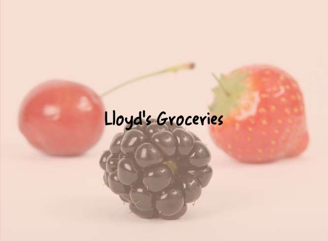 Lloyds Groceries | 104 Craven Park, Church End & Roundwood, London NW10 8QE, UK | Phone: 020 8965 9544