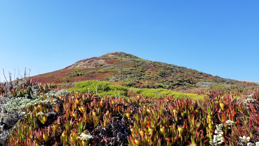 Abbotts Lagoon Trailhead | Inverness, CA 94937, USA | Phone: (415) 464-5100