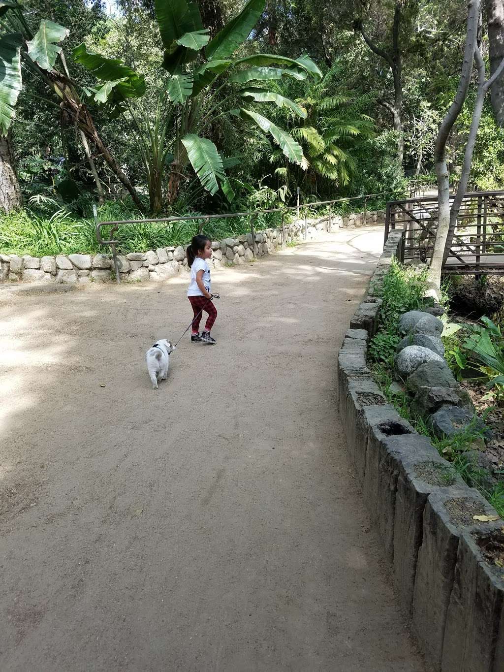 Ferndell Trail | Fern Dell Dr, Los Angeles, CA 90027, USA