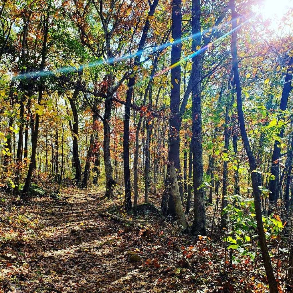 Lakeside Trail | Lakeside Trail, Wellsville, PA 17365, USA