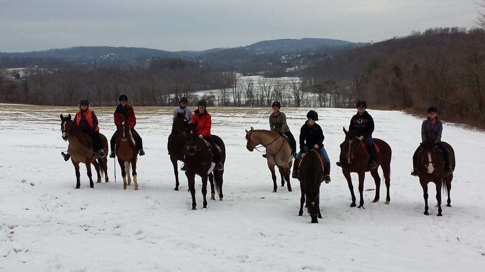 Hope Springs Farm at Marsh Creek State Park | 800 N Reeds Rd, Downingtown, PA 19335, USA | Phone: (610) 321-1960