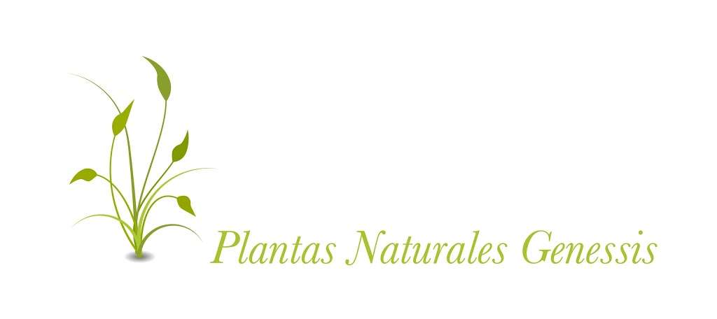 Plantas Naturales Genessis | 9029 Long Beach Blvd, South Gate, CA 90280, USA | Phone: (323) 567-5649