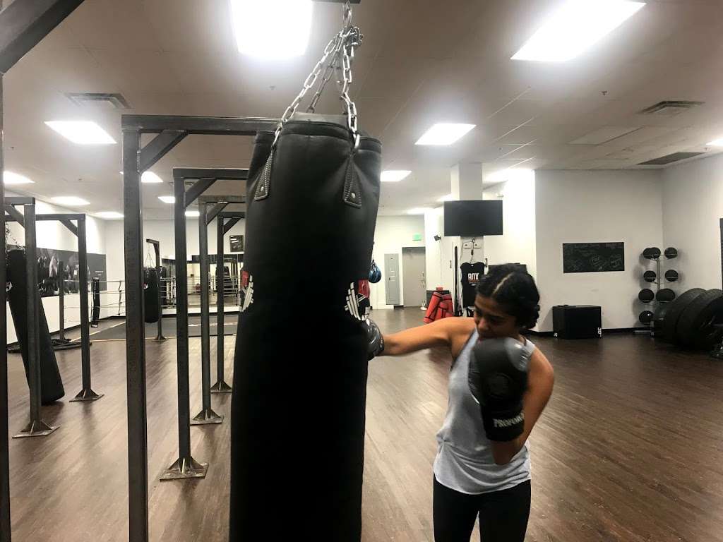 Knockout Boxing and Fitness | 223 Brierhill Dr, Bel Air, MD 21015, USA | Phone: (443) 819-3024