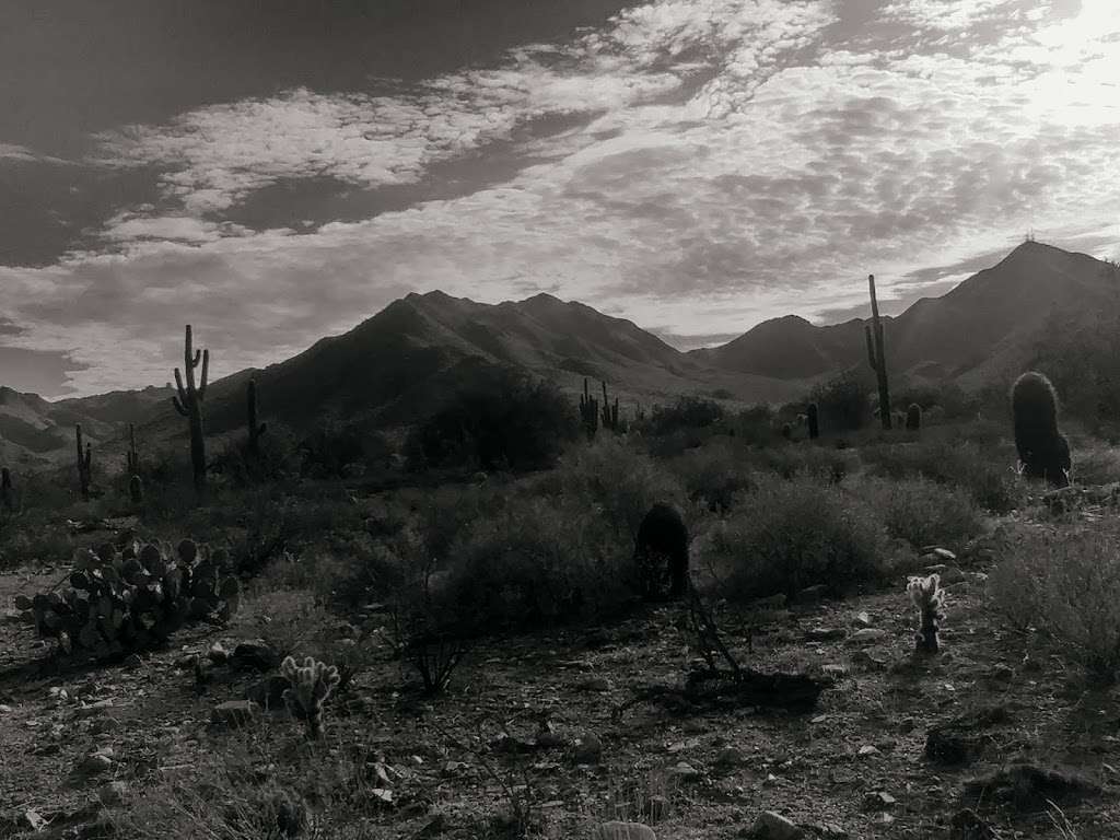 Windgate Crossing | 17050 N Thompson Peak Pkwy, Scottsdale, AZ 85255, USA Windgate Crossing | 17050 N Thompson Peak Pkwy, Scottsdale, AZ 85255, USA