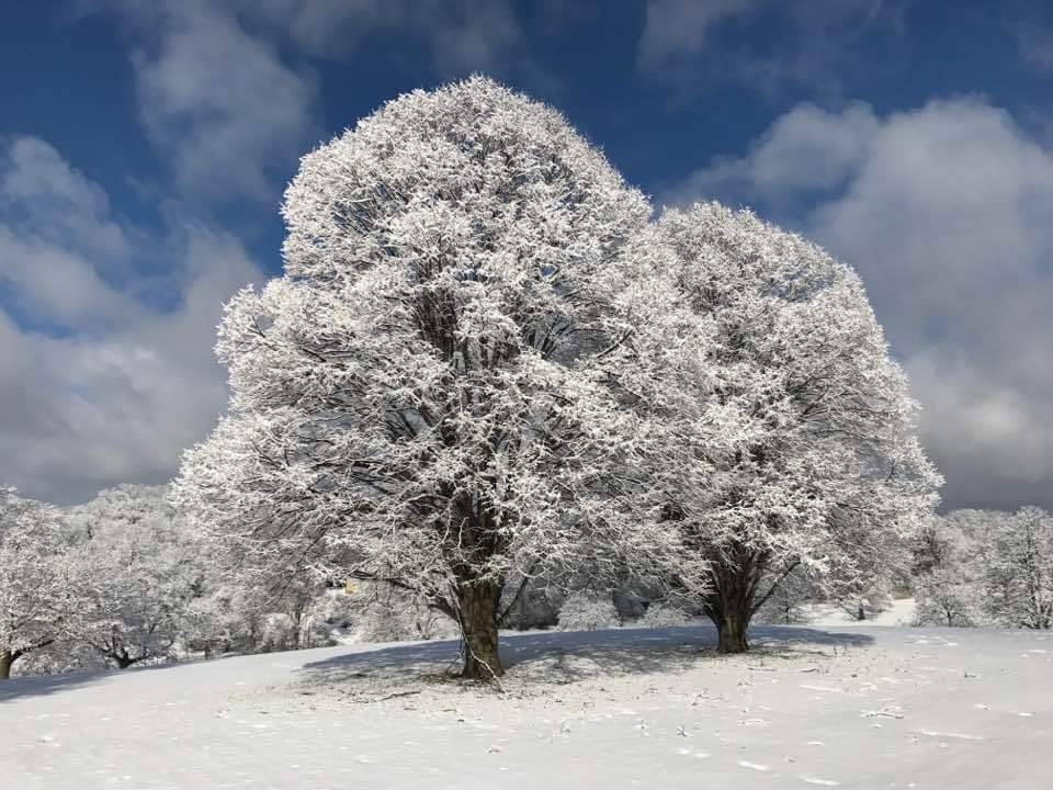 Allegheny County Memorial Park | 1600 Duncan Ave, Allison Park, PA 15101, USA | Phone: (412) 366-8296