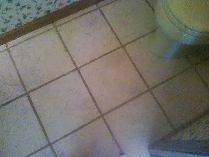 Got Spots Carpet and Tile | 9351 S 43rd St, Franklin, WI 53132 | Phone: (414) 501-4354