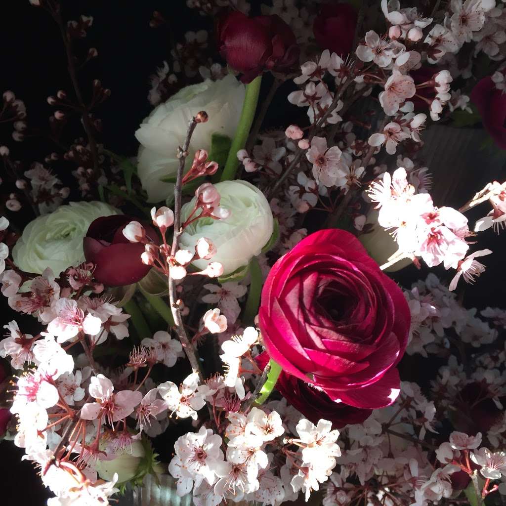 STILL WATERS FARM AND GARDENS | 1321 Schumann Ln, Hickory, NC 28602, USA | Phone: (704) 578-4586