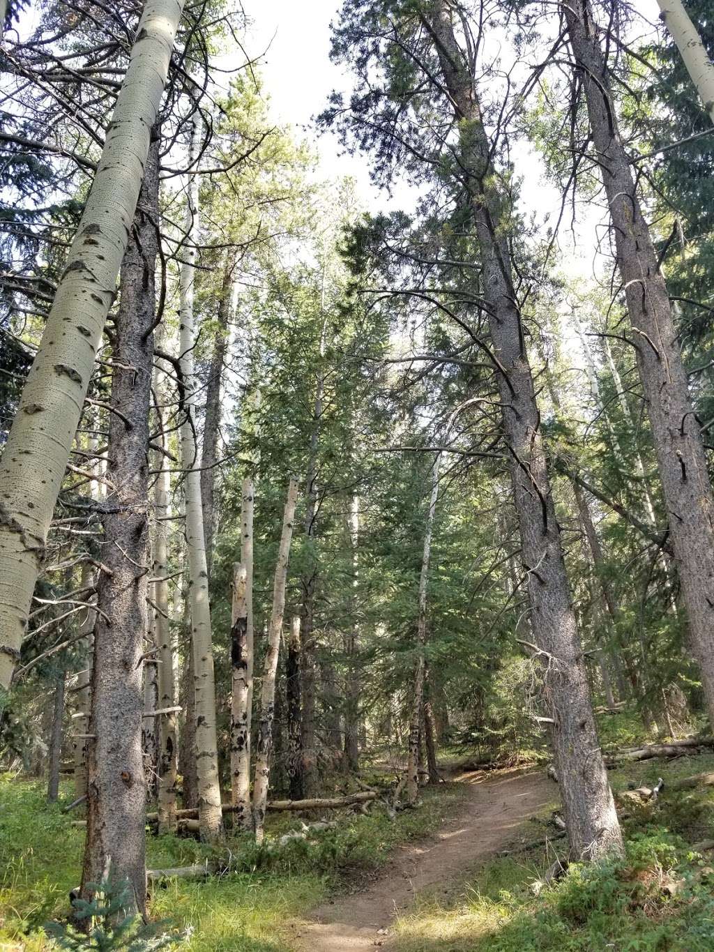 Beaver Brook Watershed East Parking Area | 24 Old Squaw Pass Rd, Evergreen, CO 80439 | Phone: (303) 679-2305
