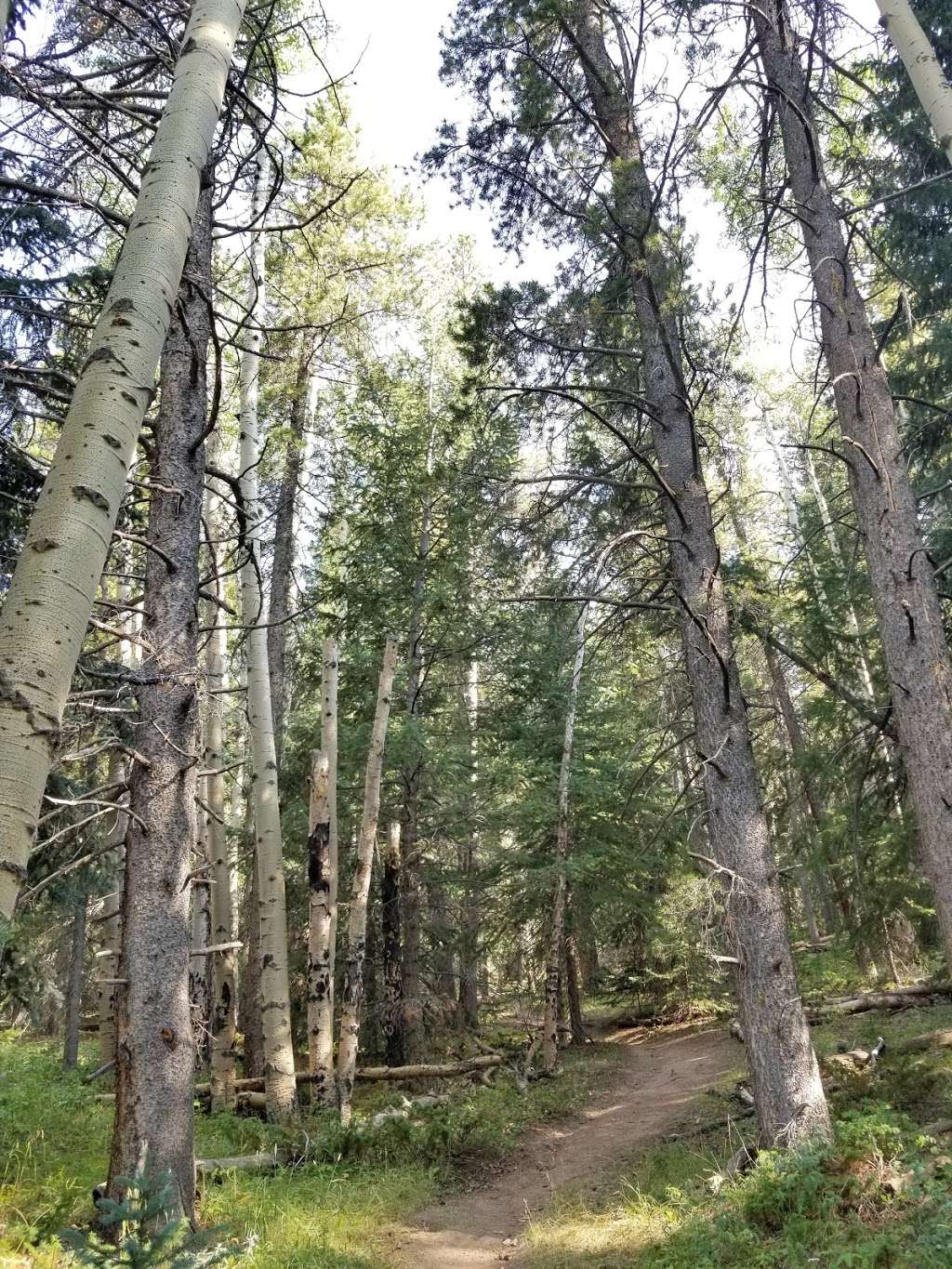 Beaver Brook Watershed East Parking Area | 24 Old Squaw Pass Rd, Evergreen, CO 80439, USA | Phone: (303) 679-2305