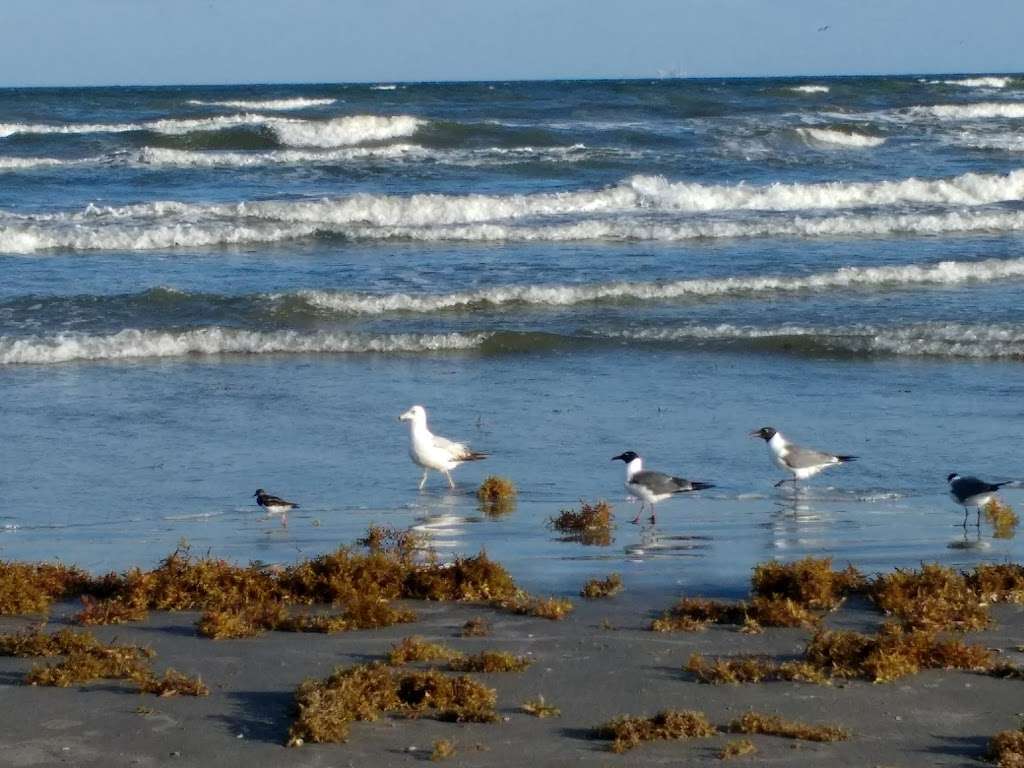 Beach Pocket Park | 11102 Termini-San Luis Pass Rd, Galveston, TX 77554, USA | Phone: (409) 934-8100