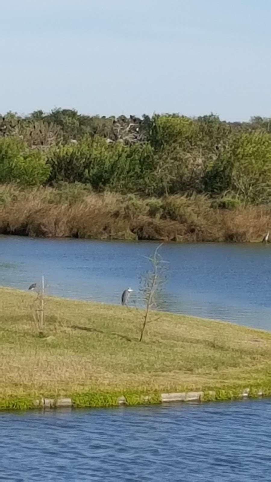 John Hargrove Environmental Complex | 5800 Magnolia St, Pearland, TX 77584, USA