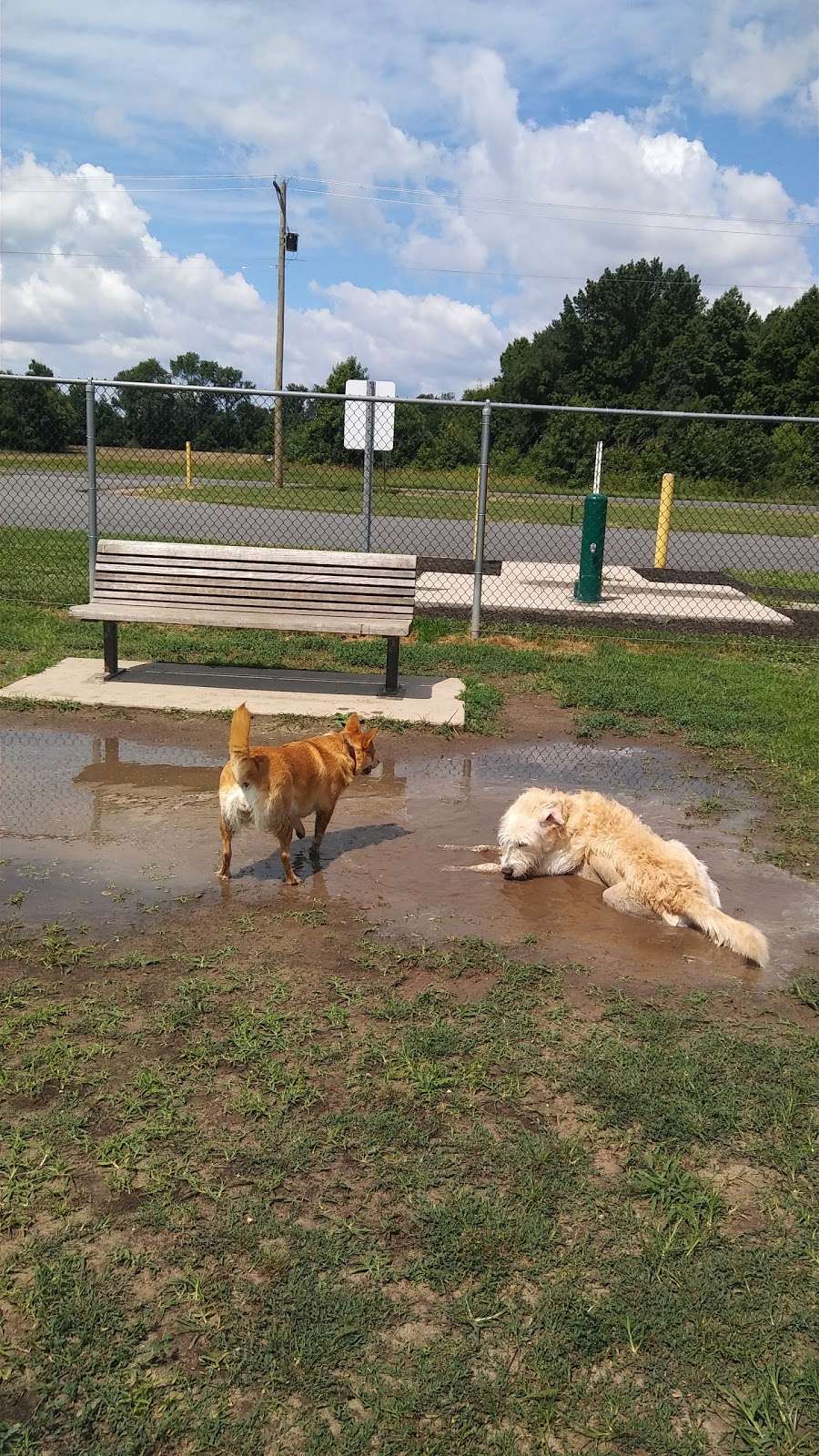 Gloucester County Dog Park | 2401 County Rd 662, Logan Township, NJ 08085, USA