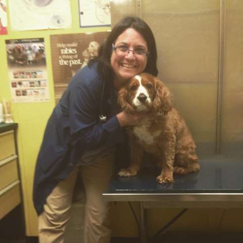 Pearl River Animal Hospital | 19 S Pearl St, Pearl River, NY 10965 | Phone: (845) 735-3213