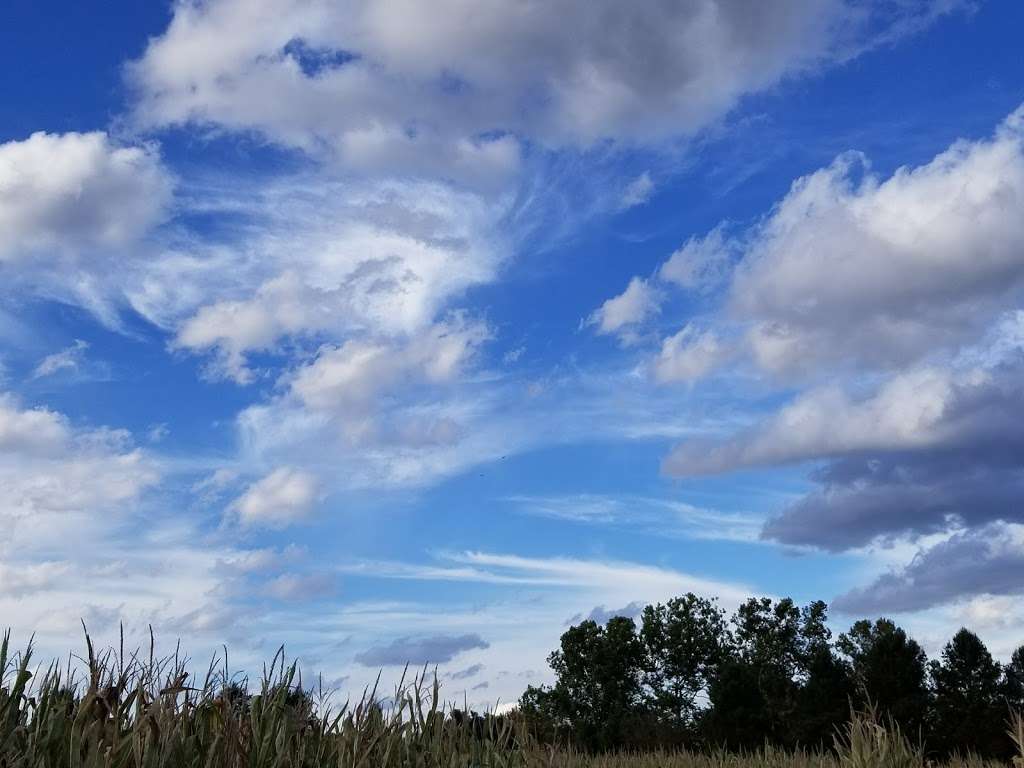 Medford Fish and Wildlife Management Area | Medford, NJ 08055, USA