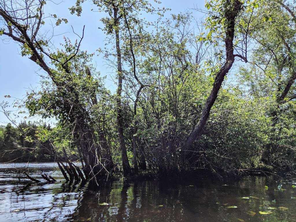 Fowser Road Boat Ramp | 355 Fowser Rd, Millville, NJ 08332, USA | Phone: (856) 825-7000