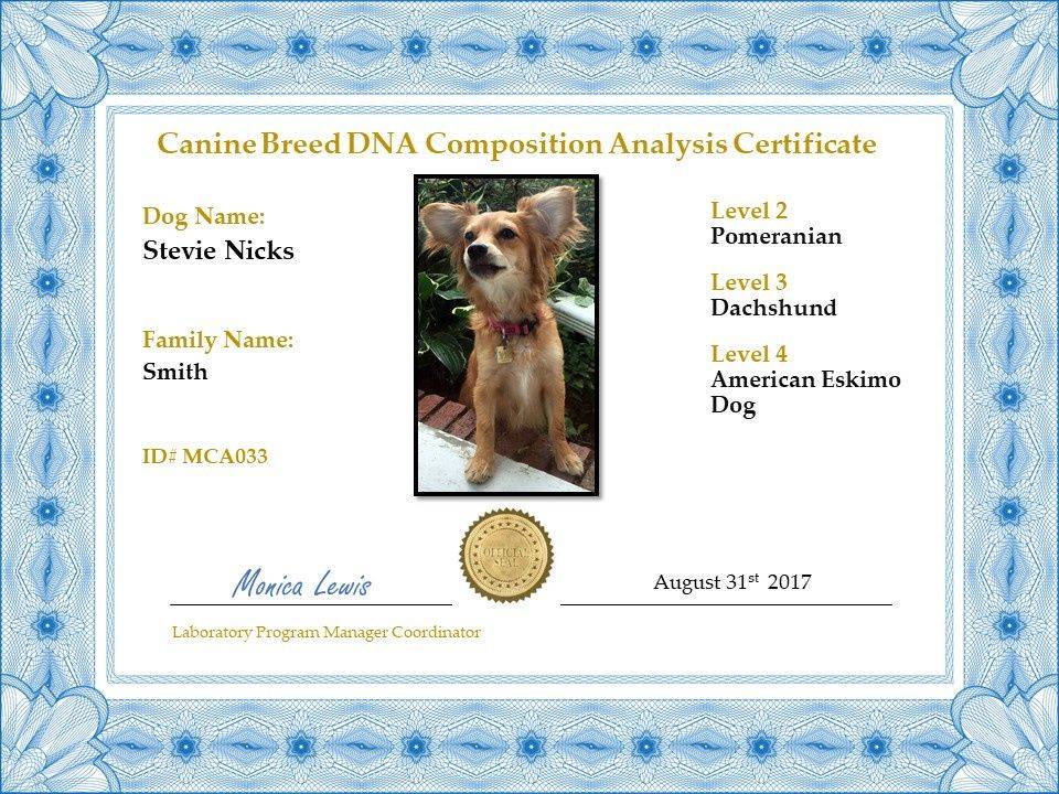 My Canines Ancestry DNA Lab Services | 1342 Bell Ave Unit 3K, Tustin, CA 92780, USA | Phone: (714) 696-1949