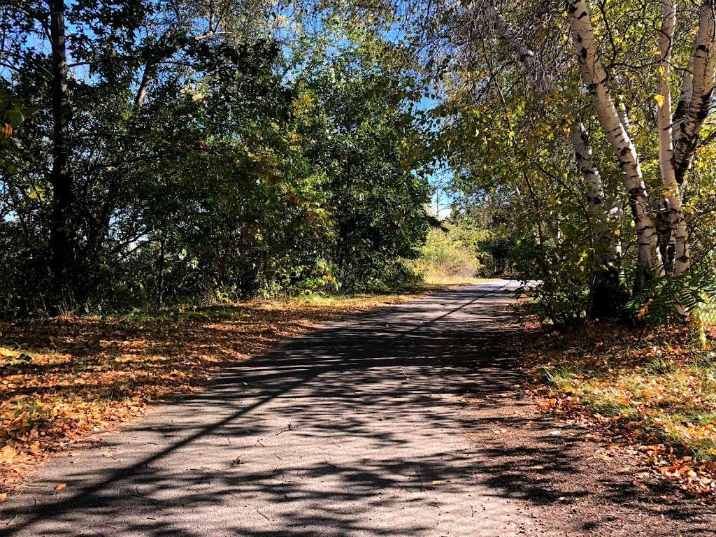 Billings Creek Salt Marsh Trail | Quincy, MA 02171