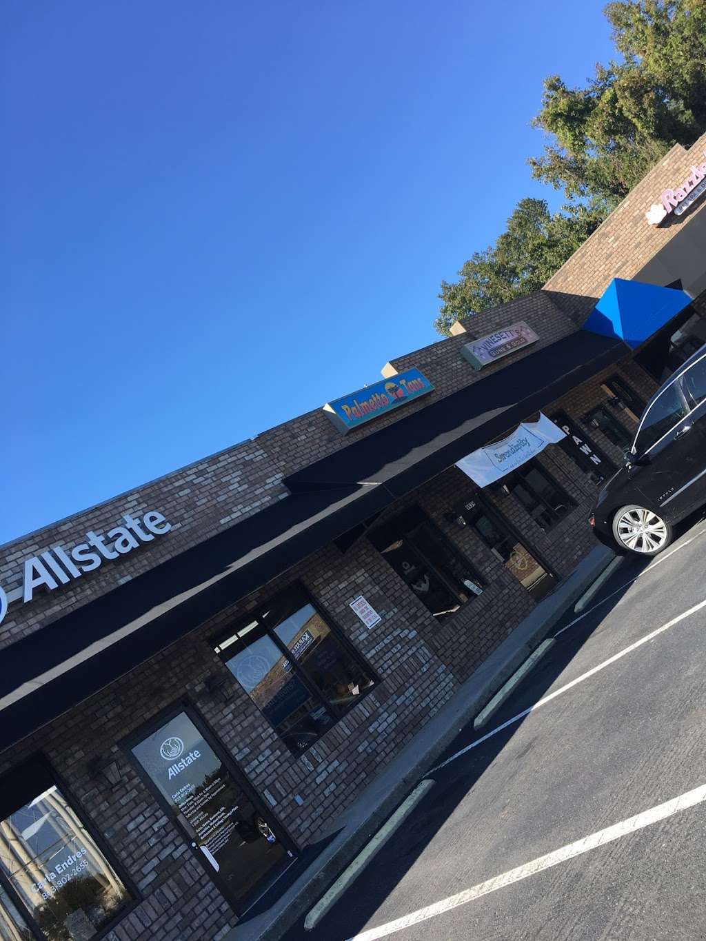 Palmetto Vape | 9939 Charlotte Hwy, Indian Land, South Carolina, SC 29707, USA