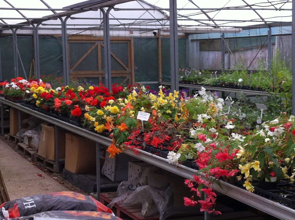 Newlands Nursery & Garden Centre | Goathurst Common, Ide Hill TN14 6DA, UK | Phone: 01732 750591