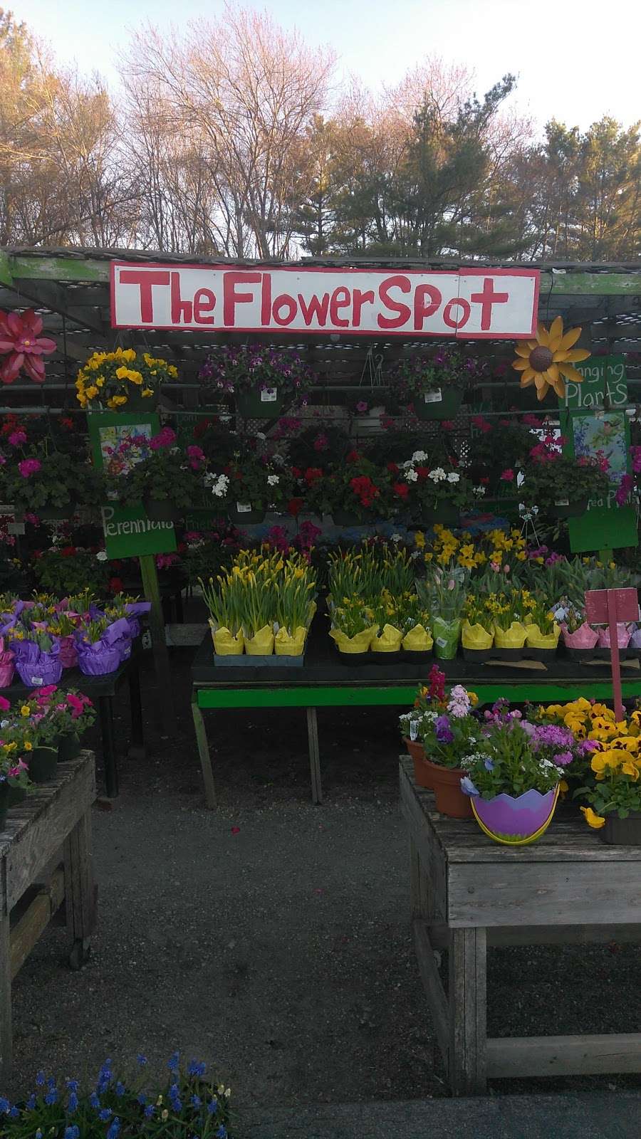 The Flower Spot | 255 Cape Hwy, East Taunton, MA 02718, USA | Phone: (857) 236-3392