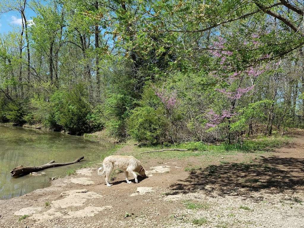 Blue Springs Dog Park | NE 20 St, Blue Springs, MO 64029 | Phone: (816) 228-0137