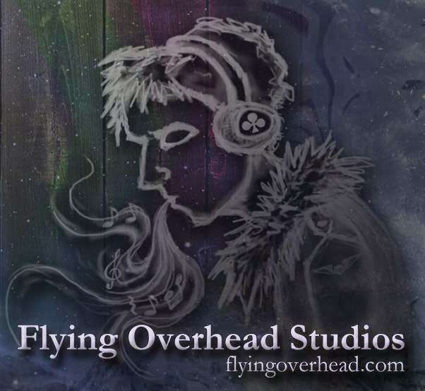 Flying Overhead Studios | 1695 E Whisnand Rd, Bloomington, IN 47408, USA | Phone: (812) 250-6837