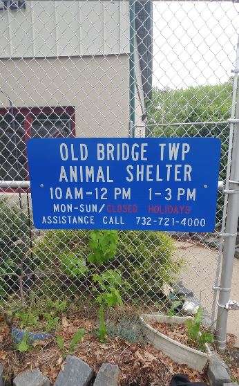 Old Bridge Animal Shelter | Old Bridge Municipal Center, 1 Old Bridge Plaza, Old Bridge, NJ 08857, USA | Phone: (732) 721-5600 ext. 6300