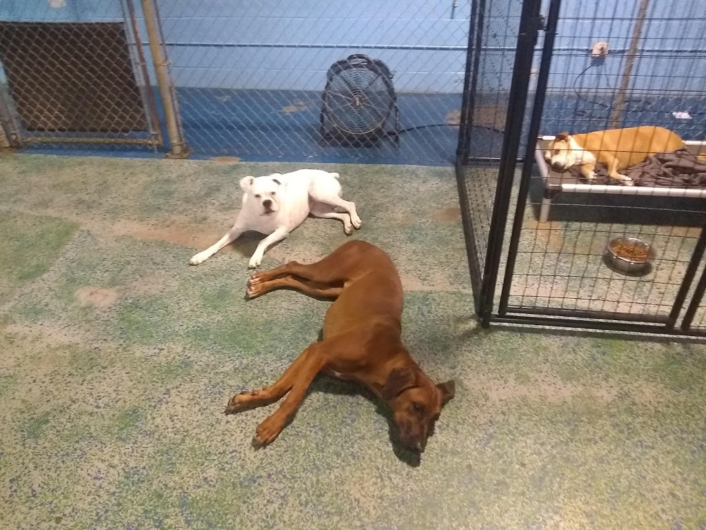 BauserHaus | 2818 Breckenridge Industrial Ct, St. Louis, MO 63144, USA | Phone: (314) 961-3911