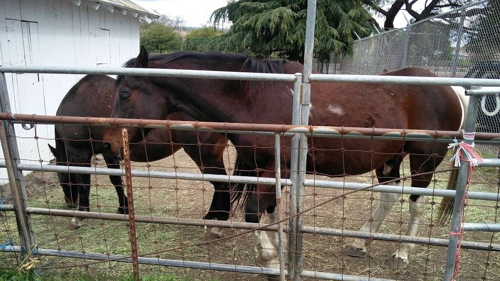 Forest Home Farms Historic Park | 19953 San Ramon Valley Blvd, San Ramon, CA 94583 | Phone: (925) 973-3284