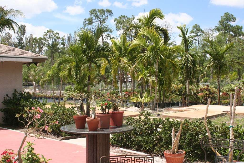 Garden Specialties at Tropical World | 1162 Hyde Park Rd Open by appointment only, Loxahatchee Groves, FL 33470, USA | Phone: (561) 907-1848