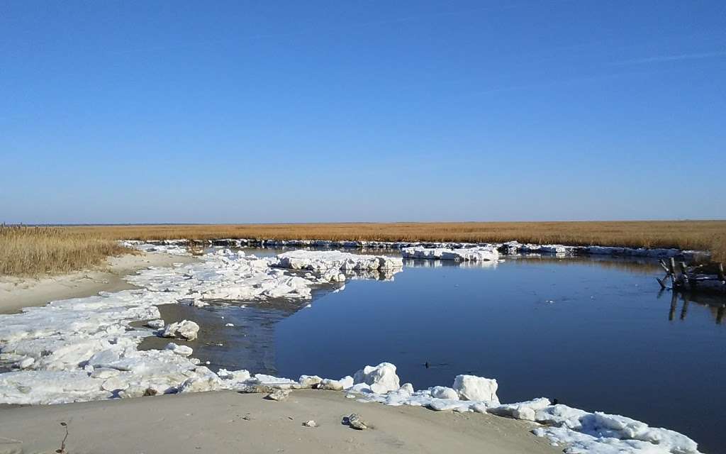 Egg Island Fish and Wildlife Management Area | Fortescue, NJ 08321