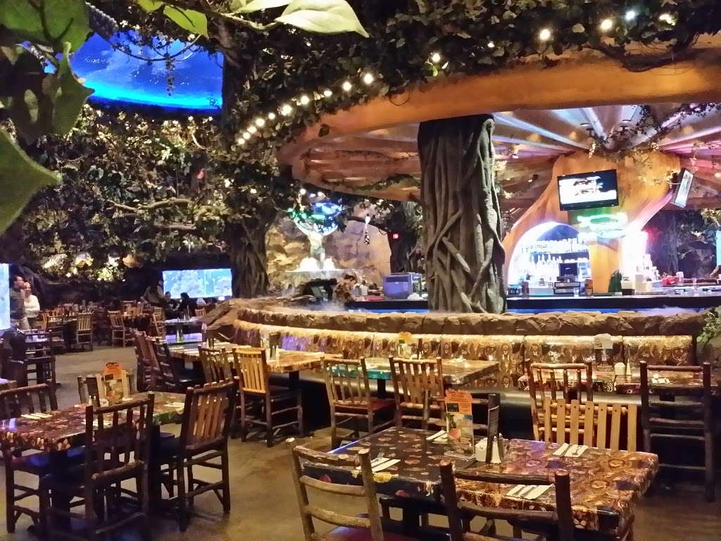 Rainforest Cafe | 3717 S Las Vegas Blvd Suite 275 and 330, Las Vegas, NV 89109, USA | Phone: (702) 891-8580