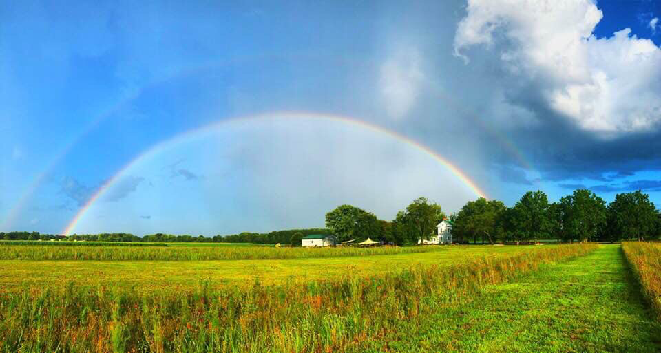 Windmill Creek Vineyard & Winery | 11206 Worcester Hwy, Berlin, MD 21811, USA | Phone: (410) 251-6122