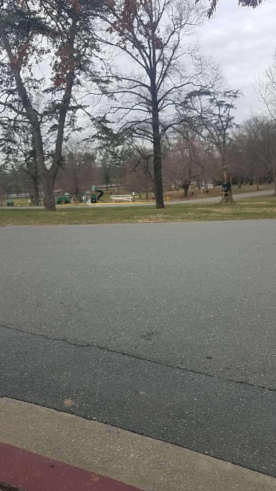 Summer at Norwood - A Summer Camp Located in Bethesda, MD | 8821 River Rd, Bethesda, MD 20817, USA | Phone: (301) 841-2254