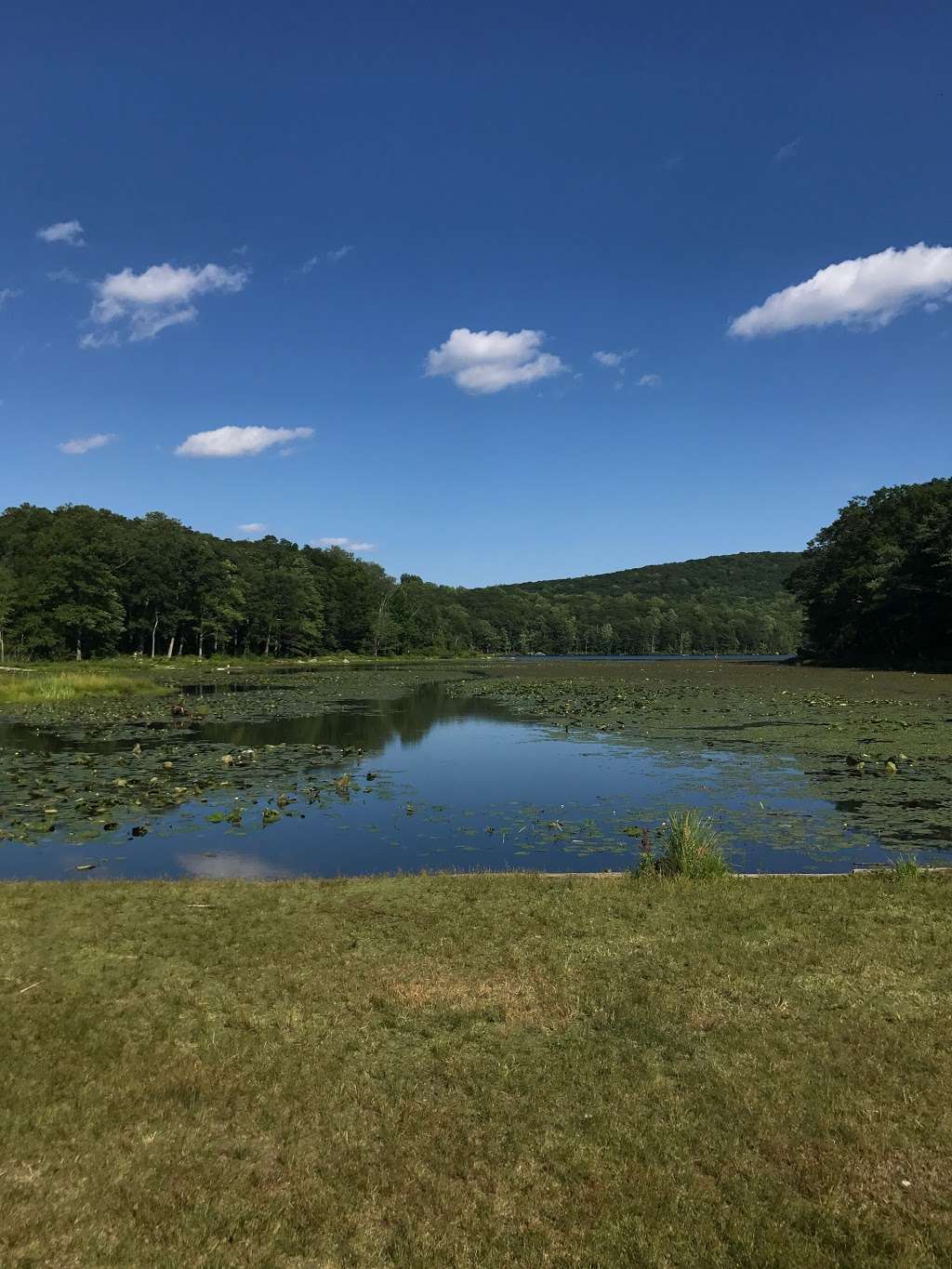 Tiorati Lake Recreation Area | 3200 Seven Lakes Dr, Southfields, NY 10975, USA | Phone: (845) 429-8257